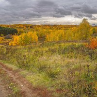 Осенние просторы :: Владимир Жданов