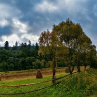 В Карпатах. :: Юрий Гординский