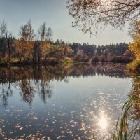 Солнце в озере купалось :: Игорь Сарапулов