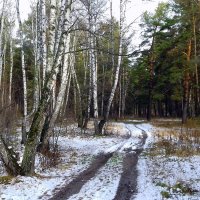 А дорога серыми лентами вьётся . :: Мила Бовкун