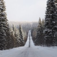 Зимняя дорога :: Виталий Жиров 