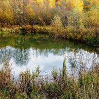 Осенний пруд :: Лидия Бусурина