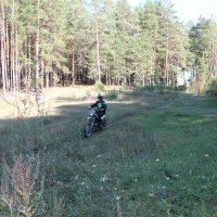 Мотоциклист в лесопарке :: Олег Афанасьевич Сергеев