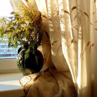 Букет мимозы в вазе на окне :: Лидия Бараблина
