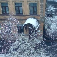Сегодня выпал первый снег! (Петербург). :: Светлана Калмыкова