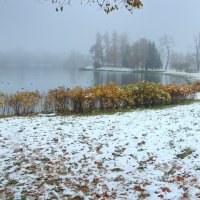 Первый снег :: Сергей Григорьев