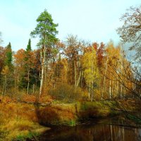 Красочная осень :: Андрей Снегерёв