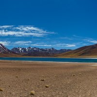 Солевое озеро Лагуна Верде! Боливия! :: Александр Вивчарик