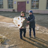 первый лёд... :: леонид логинов