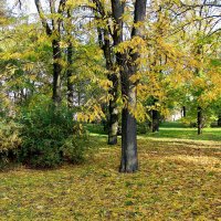 Осень в парке :: Алексей Р.