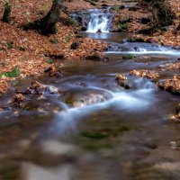 Urbacher Wasserfall :: ElenaV Gebert