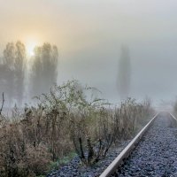 Сильный туман на дороге.. :: Юрий Стародубцев