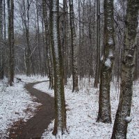 Начало сезона нецветной фотографии :: Андрей Лукьянов