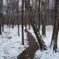 Начало сезона нецветной фотографии :: Андрей Лукьянов