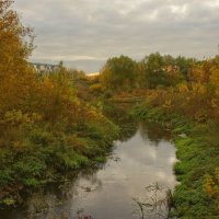 Маленькая речка в осеннем обрамлении... :: марк 