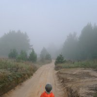 Осенний туман :: Валерий Плотников