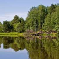 Июньская большая вода... :: Сергей 