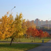 Уж Осень в парках городских... :: Татьяна Аистова