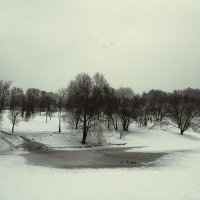Зима в Царицыно :: Андрей Баськов