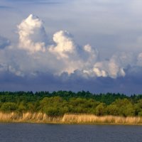 Озеро :: Ольга Маркова
