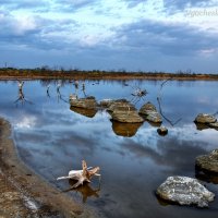 У истоков времён. :: Вячеслав Яценко