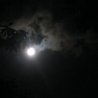 Зловещая луна... До Хеллоуина далеко :: Светлана 