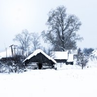 Сильный снегопад в заброшенном селе :: Андрей Мичурин