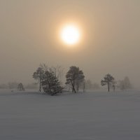Мартовский туман... :: Сергей 