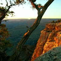 Grand Canyon. :: Алексей Пышненко