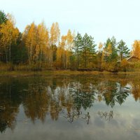 Отражение в деревенском пруду :: Андрей Снегерёв