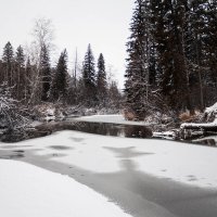 Между осенью и зимой. :: Вадим Басов