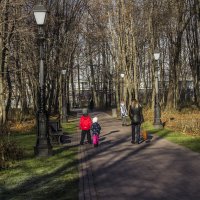 Царицыно, осень, редкие солнечные дни. :: Петр Беляков