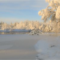 Зимние кружева :: Владимир Чикота 