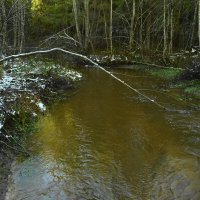 воды ноября.. :: Михаил Жуковский