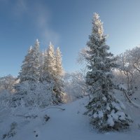 Зимушка зима !!! :: Олег Кулябин