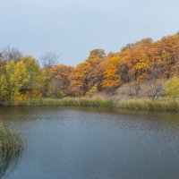 В ожидании дождя :: Мария Букина