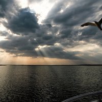 Закат на оз. Сиваш :: Роман Савоцкий