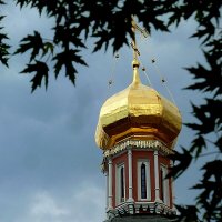 Купол Троицкого собора в Саратове :: Лидия Бараблина