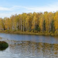 Озёра Смоленщины :: Милешкин Владимир Алексеевич 