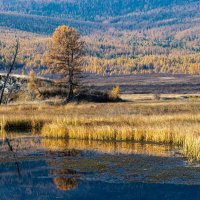 Утро на Джангысколе. :: Ник Васильев