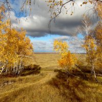 Когда осень была золотой. :: nadyasilyuk Вознюк