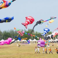 Kite Festival :: Евгения 