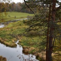 Река Дёржа в Тверской области. :: Марина Григорьева