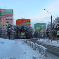 В снегах Заполярья :: Ольга 