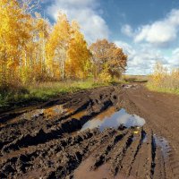 Вспоминая солнечный октябрь.. :: Андрей Заломленков