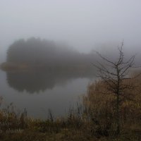Под покровом тумана :: Сергей Шаталов