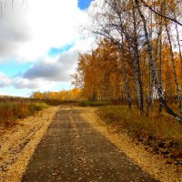 Осени дорога золотая. :: nadyasilyuk Вознюк