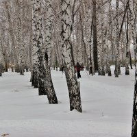 .Прогулки по городу. :: Венера Чуйкова