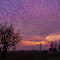 Осеннее небо :: Светлана Карнаух