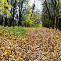 Осень в городском парке. :: Милешкин Владимир Алексеевич 